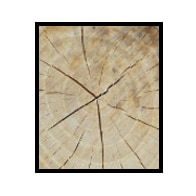 square log