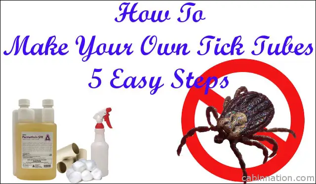 How To Make Tick Tubes: 5 EASY STEPS DIY