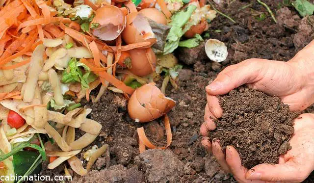 Best Compost For Garden Vegetables And Flowers